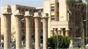 انطلاقة رسمية: جامعة عين شمس تفتح أبوابها لمؤتمر تعليم الكبار وتمكين ذوي الاحتياجات الخاصة